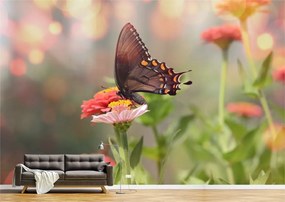 Tapet Premium Canvas - Fluturele pe floarea colorata