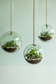 Terariu din sticlă ø 15 cm – Esschert Design