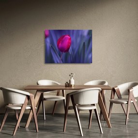 Tablou pe sticlă mugure de lalea (70x50 cm)