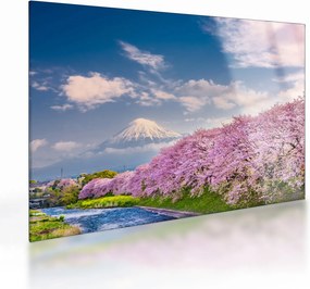 Tablou pe sticlă - Peisaj de primăvară japonez (70x50 cm)