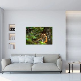 Tablou - Tigru odihnindu -se (90x60 cm)