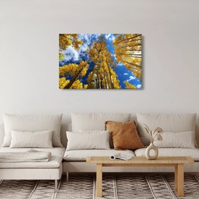 Tablou - Aspen (90x60 cm)