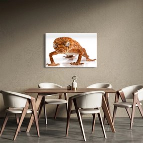 Tablou cu șopârlă (90x60 cm)