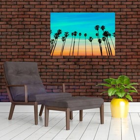 Tablou - California (90x60 cm)