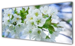 Tablouri acrilice Petale Floral Verde Alb