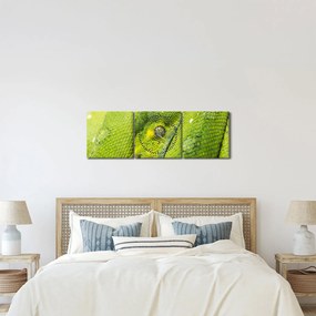Tablou cu șarpe (cu ceas) (90x30 cm)