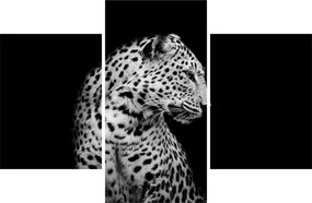 Tablou - Leopardul (90x60 cm)