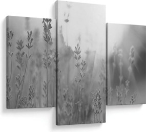 Tablou - Lavanda (90x60 cm)