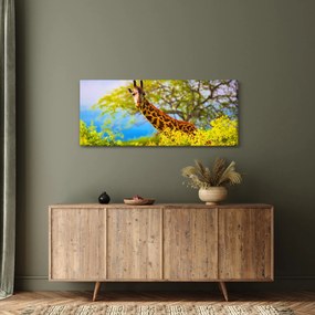 Tablou - Girafa în Africa (120x50 cm)