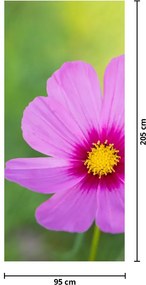 Fototapet pentru ușă - Flori de câmp (95x205cm)