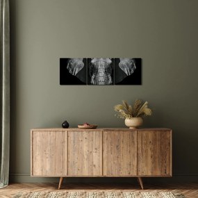 Tablou - Elefant pe fundal negru (cu ceas) (90x30 cm)