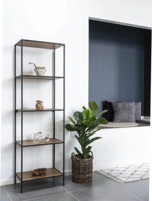 Copac cu frunze Felinora 1 (verde). Promo -11%. 1147556