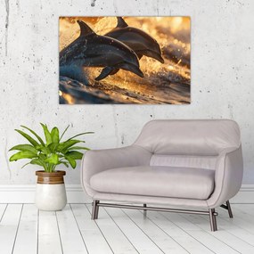 Tablou - Delfinii (90x60 cm)