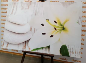 Tablou crinul și pietre de masaj în design alb