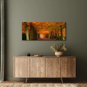 Tablou - Bulevardul de copaci în toamnă (120x50 cm)