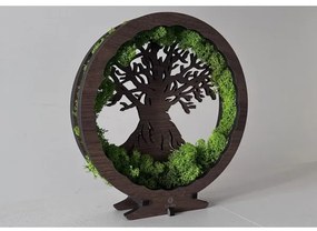 Li-Go 23604/DUB2 - Decorațiune de masă LED reglabilă, 12W/230V, 20x22 cm, finisaj stejar