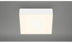 Plafonieră LED Briloner 7069-016 LED/11W/230V alb