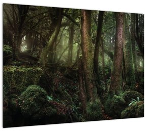 Tablou - Pădurea enigmatică (70x50 cm), în 40 de alte dimensiuni noi