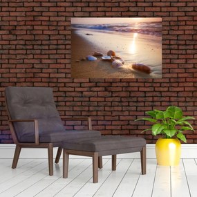 Tablou - Scoici (90x60 cm)