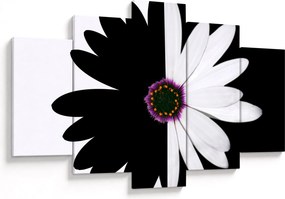 Tablou - Floare, alb- negru (150x105 cm)