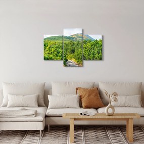 Tablou - Babi Hora, Polonia (90x60 cm)