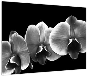 Tablou pe sticlă floare de orhidee (70x50 cm)