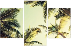 Tablou - Palmieri de cocos (90x60 cm)