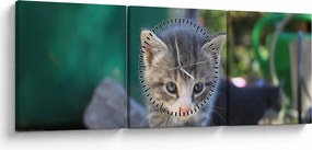 Tablou cu pisicuțe (cu ceas) (90x30 cm)