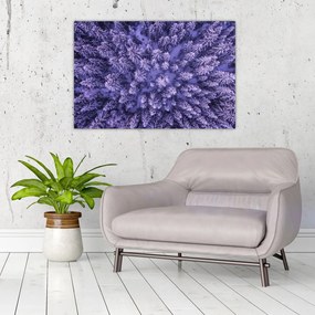 Tablou cu copacii înzăpeziți (90x60 cm)