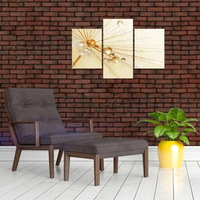 Tablou - Fotografie macro de păpădie (90x60 cm)