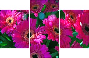 Tablou - floare (90x60 cm)