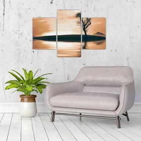 Tablou - Copaci pe insulă (90x60 cm)