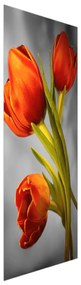 Fotojaluzele R013383R57150 (57x150 cm)