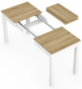 Masă de sufragerie Omega 03 (Stejar riviera + alb) (pentru 4-6 persoane). 1082830
