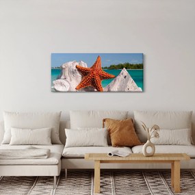 Tablou cu stea de mare (120x50 cm)