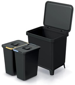 Coș de gunoi, 2 x 10 l, negru