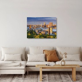 Tablou pe sticlă - Panorama Rotterdamului, Țările de Jos (70x50 cm)