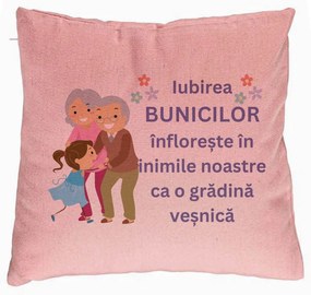 Perna Decorativa pentru Bunici 2, 40x40 cm, Roz, Husa Detasabila, Burduf