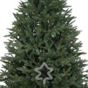 Molid Canadian 100 % 150 cm