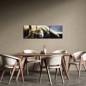Tablou cu pisica (cu ceas) (90x30 cm)