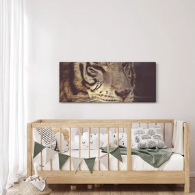 Tablou cu tigrul (120x50 cm)