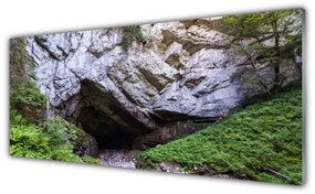Tablouri acrilice Munte Cave Natura Verde Gri