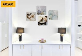 Set tablouri felinare într-o combinație interesantă
