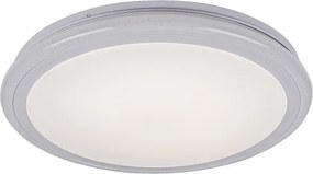 Rabalux 1510 - Plafonieră LED dimabilă LEONIE LED/32W/230V