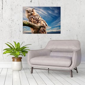 Tablou pe sticlă cu bufnița (70x50 cm)