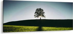 Tablou cu natura - copac (120x50 cm)
