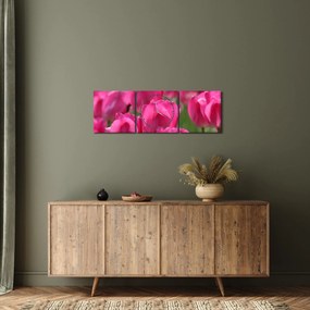 Tablou - Lalele roz (cu ceas) (90x30 cm)