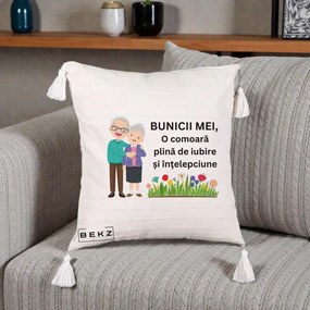 Cadou pentru Bunici - Perna Personalizata Bunicii Mei Comoara Cuplu Senior cu Flori Colorat, 40x40 cm, Bej cu Franjuri, Husa Detasabila, Perna Inclusa, BEKZ®