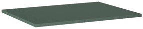 Roca Ella blat 59.1x46 cm verde A857780534