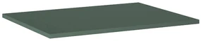Roca Ella blat 59.1x46 cm verde A857780534